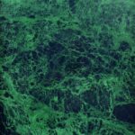 Lastra Marmura Verde Guatemala Lustruit GR2 cm - imagine 3