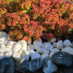 Piatra Decorativa Dolomit 4-6 cm - imagine 2