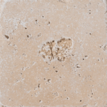 Placi Travertin Classic Antichizat 10 x 10 x 1 cm