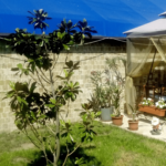 Placi Travertin Noce Rustic Antichizat 10 x 10 x 1 cm