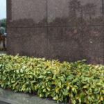 Lastra Granit Tan Brown Lustruit GR2 cm