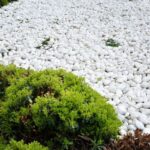 Piatra Decorativa Dolomit 4-6 cm