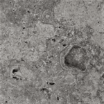Placi Travertin Silver Rustic Antichizat 30.5 x 30.5 x 3 cm