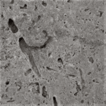 Placi Travertin Silver Rustic Antichizat 30.5 x 30.5 x 3 cm