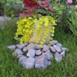 Piatra Decorativa Bordo 5-10 cm