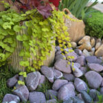 Piatra Decorativa Bordo 5-10 cm - imagine 2