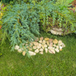 Piatra Decorativa Gold Angel 5-10 cm - imagine 2