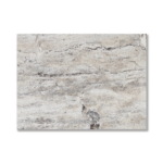 Placi Travertin Silver Lustruit Nechituit 30 x LL x 2 cm